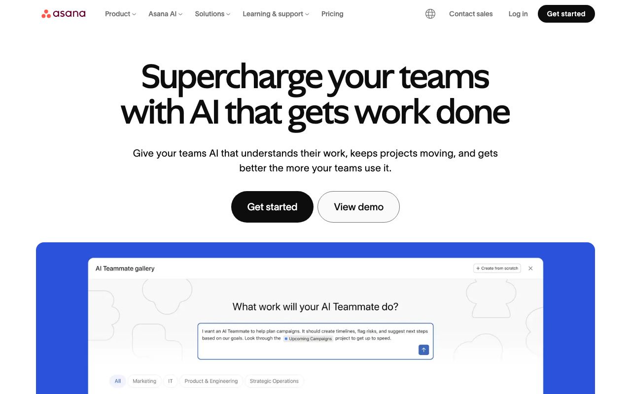Asana — zrzut ekranu interfejsu
