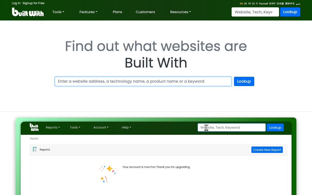 BuiltWith — zrzut ekranu interfejsu