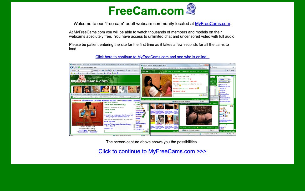 Free Cam — zrzut ekranu interfejsu