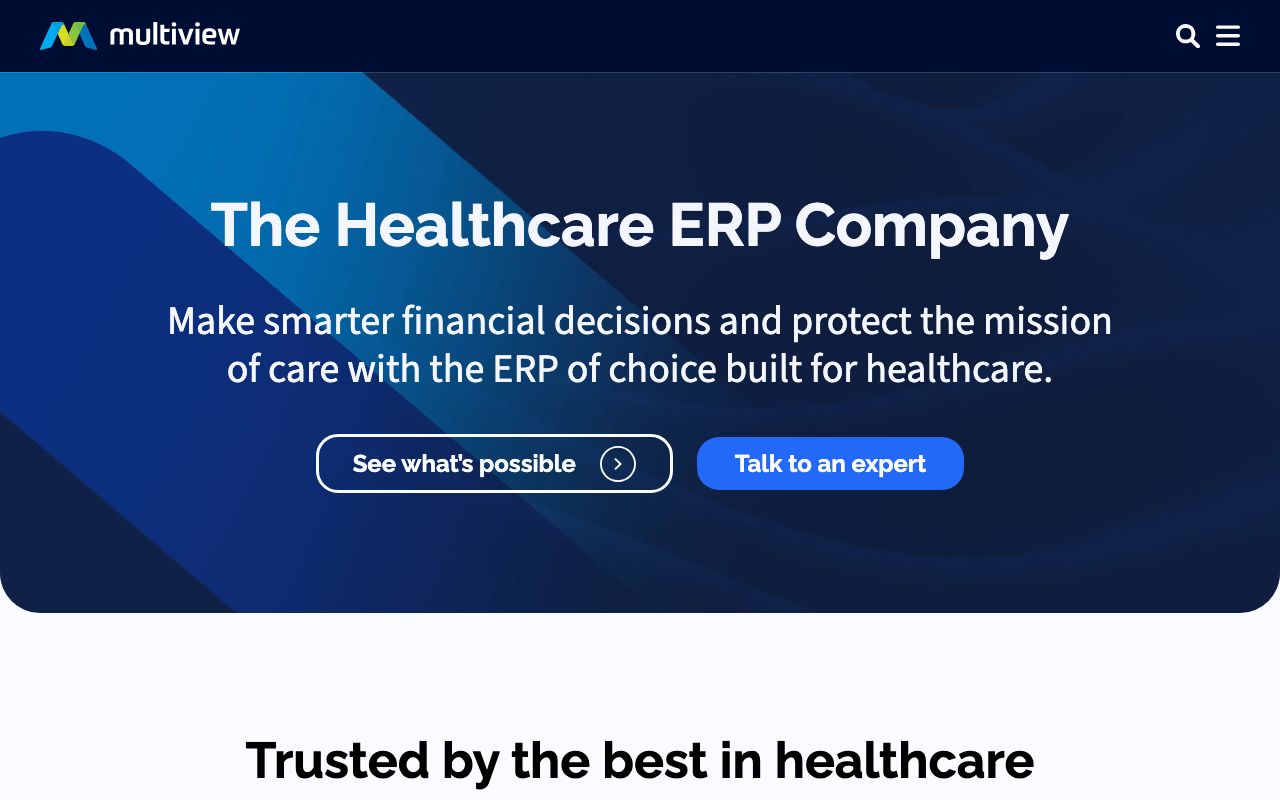 Multiview ERP — zrzut ekranu interfejsu