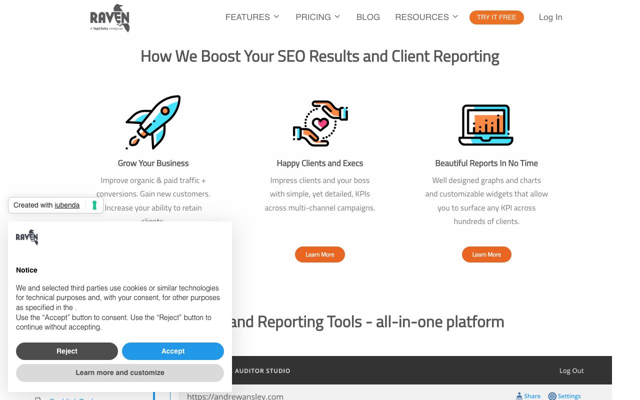 Raven Tools — zrzut ekranu interfejsu