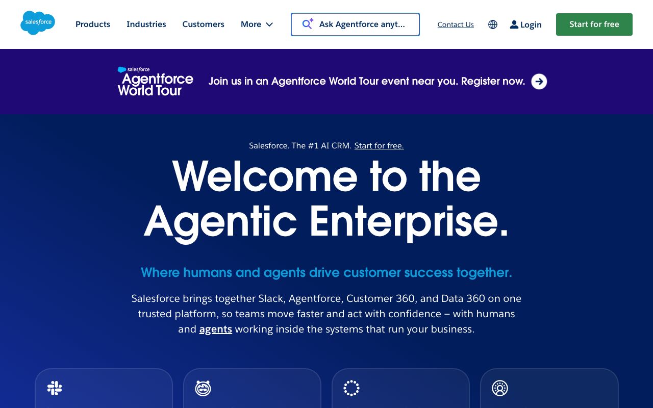 Salesforce — zrzut ekranu interfejsu