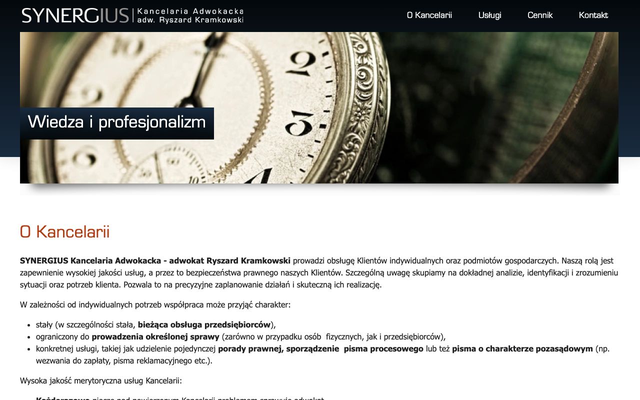 Synergius CRM — zrzut ekranu interfejsu